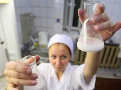 В Брянской области более 7 процентов проб продукции животноводства были забракованы