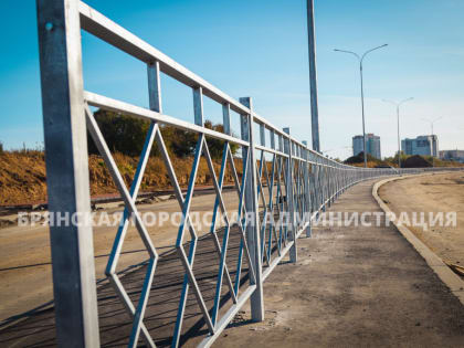 На улице Ильи Иванова начали строить велодорожку