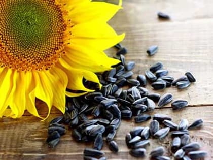 К земле — по-хозяйски