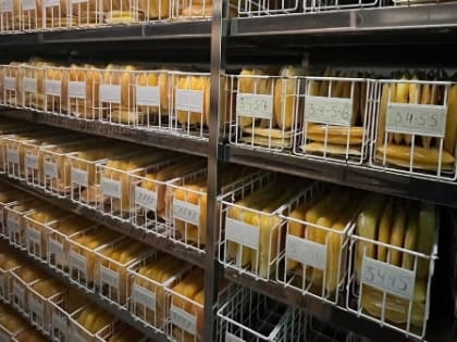 Брянскую станцию переливания крови за неделю посетил 451 донор