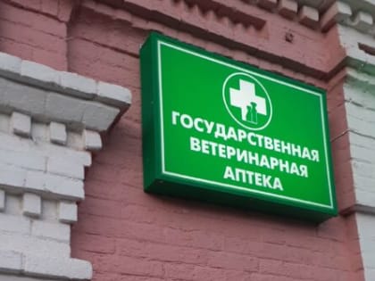 Трубчевские ветврачи рассказали, чем опасен для человека бруцеллез
