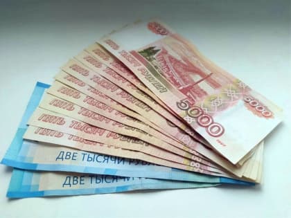 Брянские предприниматели получили более 147,2 млн рублей микрозаймов через сервис МСП.РФ