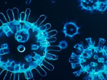 Ситуация с COVID-19 в Брянской области: новая волна заболеваемости