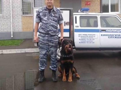 В Брянске полицейский ротвейлер Тайсон раскрыл кражу