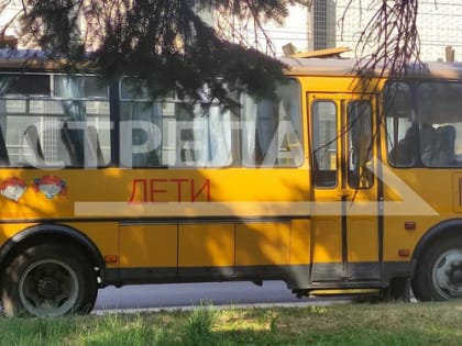 Брянская область получит ещё 15 школьных автобусов