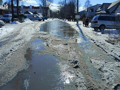 Общественники и горожане натыкали носом власти Брянска в чудовищное болото вокруг школ Бежицкого района
