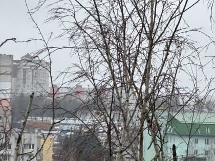 В Брянске установлен новый рекорд тепла для 27 января