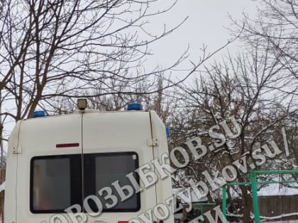 В Новозыбковском районе машину скорой помощи пришлось вызволять из снега техникой МЧС