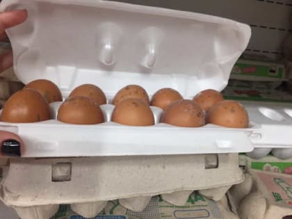 Жителей Новозыбкова шокировали яйца с плесенью из магазина