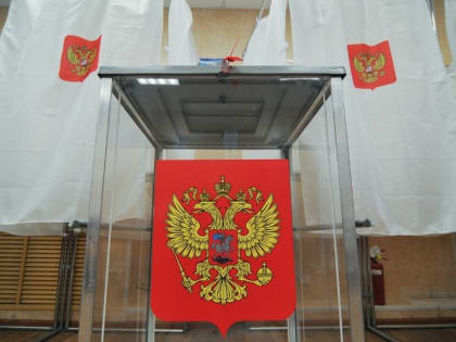 Выборы в Брянской области: первый день и явка избирателей