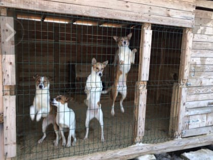 Добро всегда возвращается добром!