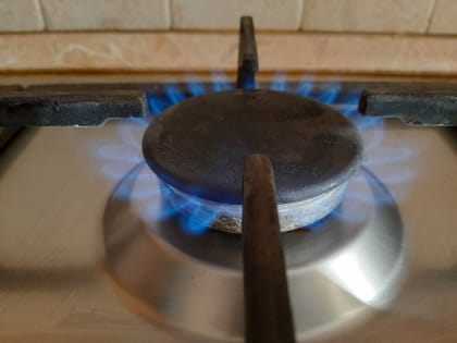 Александр Богомаз: «Мы увеличим уровень газификации сельских поселений до уровня газификации городских поселений — не менее 95%»