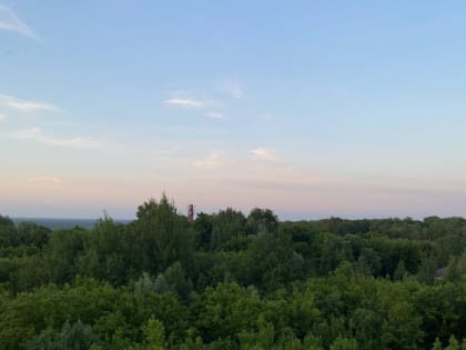 На Брящине введен запрет на посещение лесов из-за аномальной жары