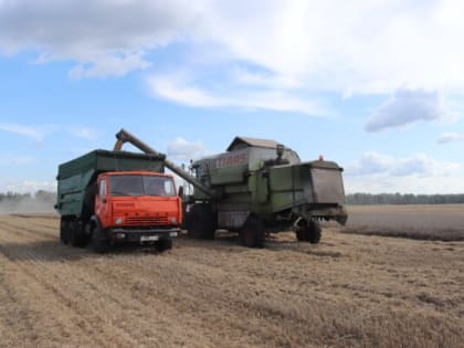 На хлебном поле Севского района горячая пора
