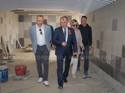 В подземном переходе на «Полтиннике» в Брянске установили 15 «антивандальных» камер. Подъёмники — на подходе