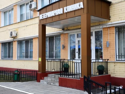 В Брянской ветеринарной клинике ФГБУ «ВНИИЗЖ» успешно справляются с операциями по остеосинтезу у животных