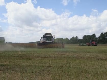 О ходе уборки зерновых культур в Брянском районе