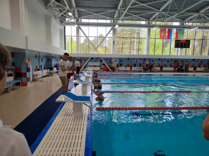 Открытое первенство города по плаванию