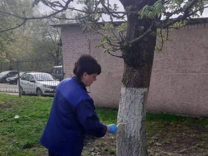 В Клинцах продолжились работы в рамках месячника по благоустройству города