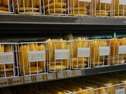 За неделю почти 500 доноров посетили Брянскую станцию переливания крови  