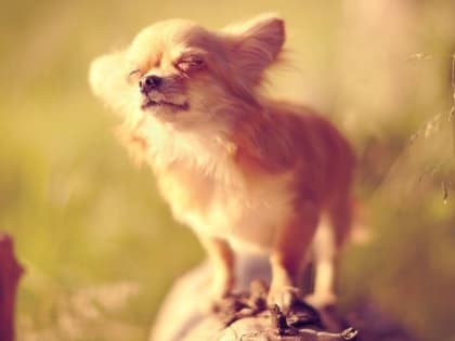 Брянщину аномальные морозы покинут 9 января