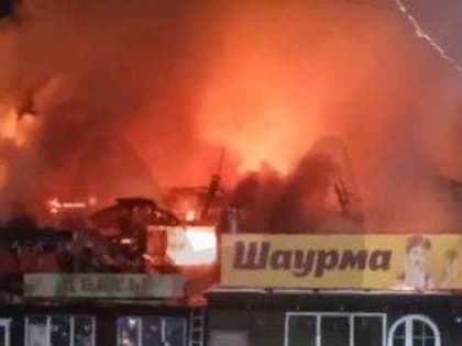 В Новых Дарковичах продолжают тушить крупный пожар