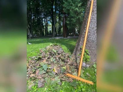 Власти Брянска зазвали горожан на субботник 26 августа — почистить город от объявлений