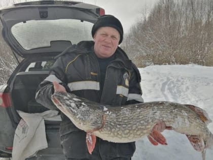 В Брянске рыбак выловил в озере возле города щуку весом 10,6 килограмма