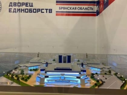 Российский вице-премьер поблагодарил правительство Брянской области за строительство Дворца единоборств