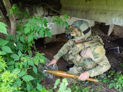 Брянская область стала лидером в ЦФО по мерам поддержки бойцов СВО