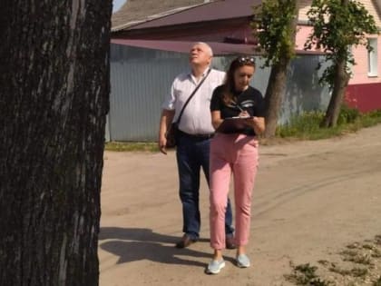 В Брянске начали обследование больных ясеней