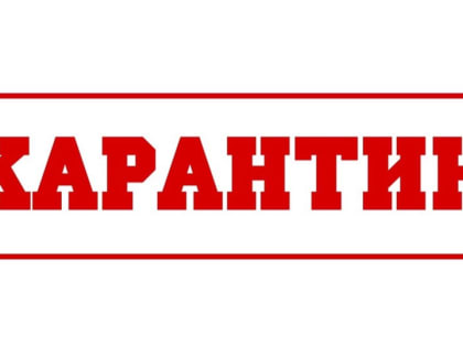 В Дятьковском районе на карантине 5 классов школьников и одна группа детсадовцев