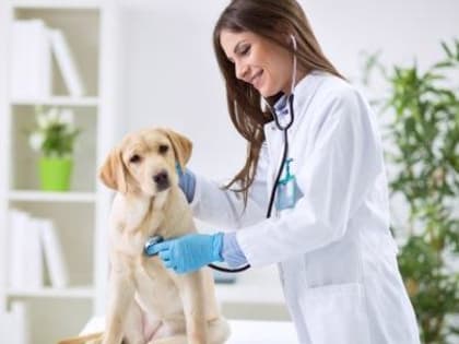 ГРАФИК РАБОТЫ ВЕТЕРИНАРНОЙ СТАНЦИИ