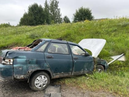 Под Брянском легковушка вылетела в кювет: водитель погиб