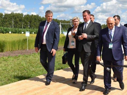 Брянские хозяйства потеряют доходы от экспорта продуктов