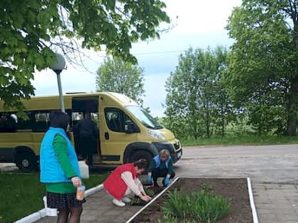 Цветы у монумента