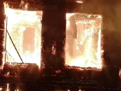 В Навлинском районе при пожаре в жилом доме вечером 12 января пострадали отец и сын