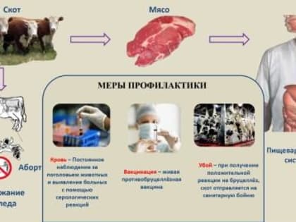 ОСТОРОЖНО! БРУЦЕЛЛЁЗ