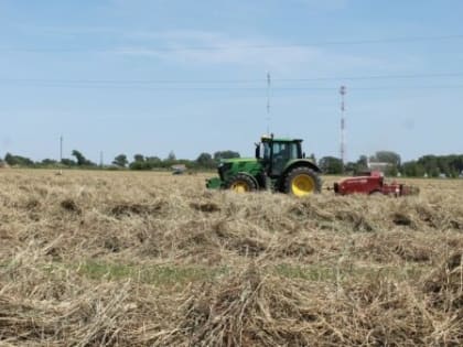 Аграрии Брянской области смогут получить господдержку