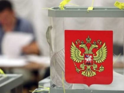 В Брянской области избирательные комиссии начали адресное оповещение избирателей