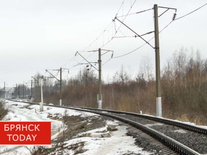В январе в Брянской области значительно увеличилась погрузка на РЖД