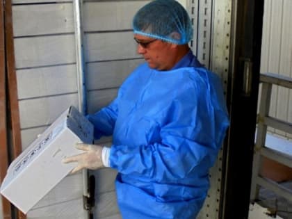 Около 4 тысяч тонн брянской животноводческой продукции экспортировали в январе