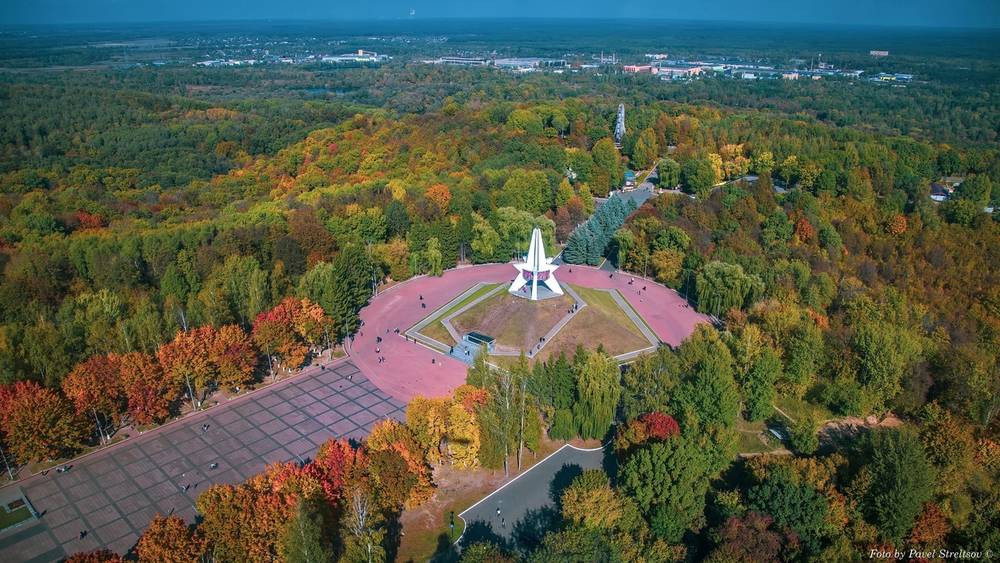 Роща соловьи брянск фото