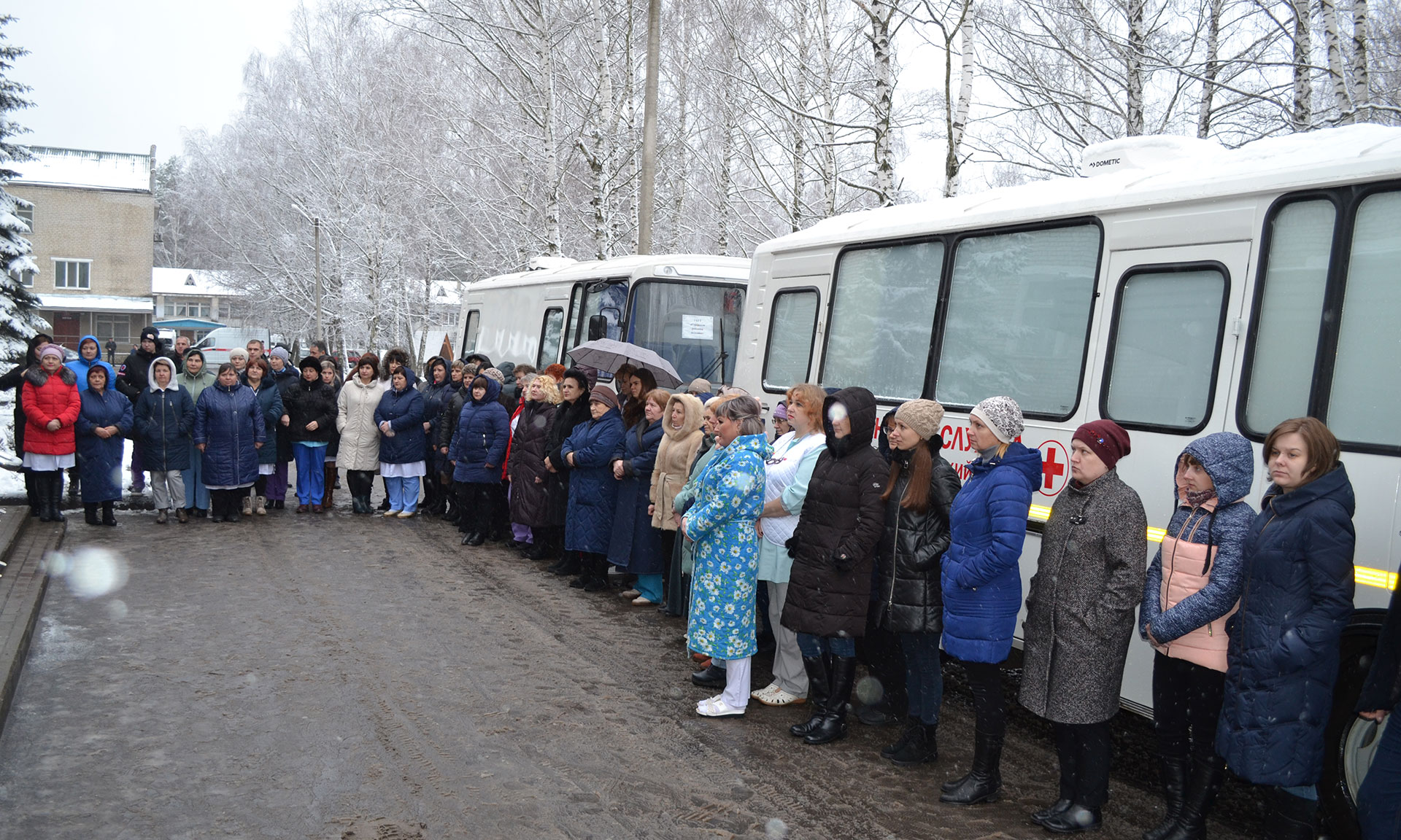 Погода жуковка брянская гисметео