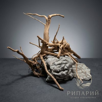 Коряга 1кг Паучий корень