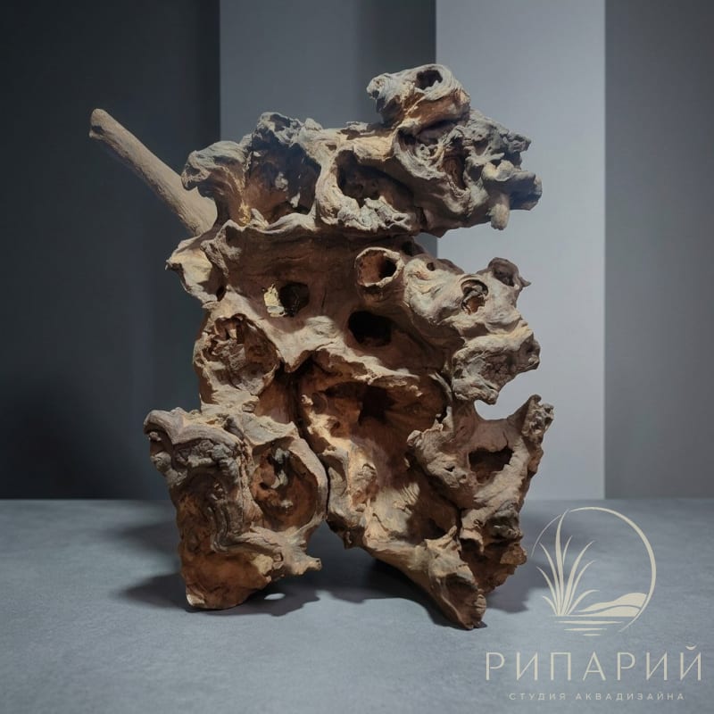 Коряга 1кг Саванная