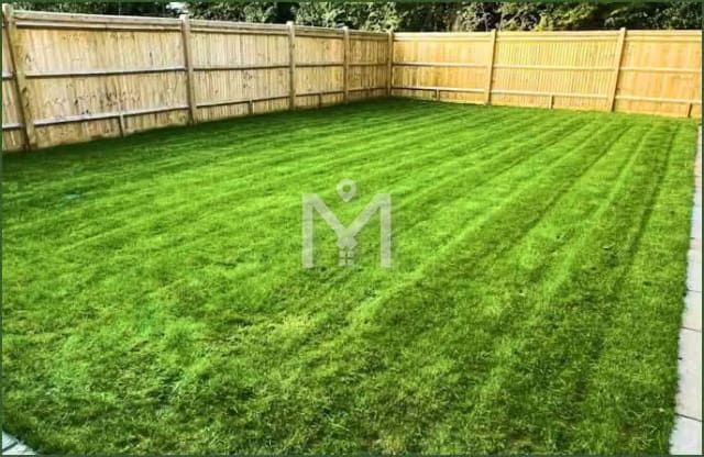 10 Marla Open Plot for Sale — Habibullah Colony, Abbottabad