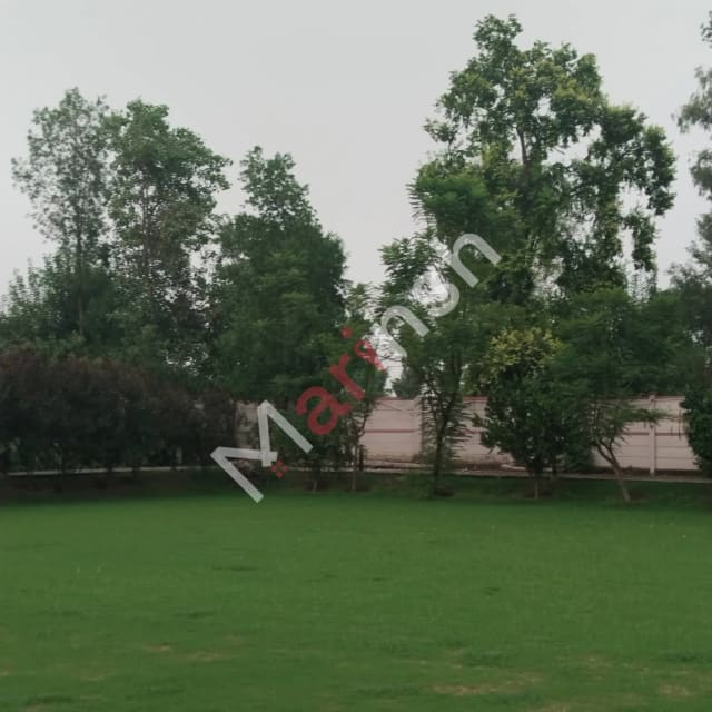 13 Kanal Farm House for Sale — Bedian Road, Lahore