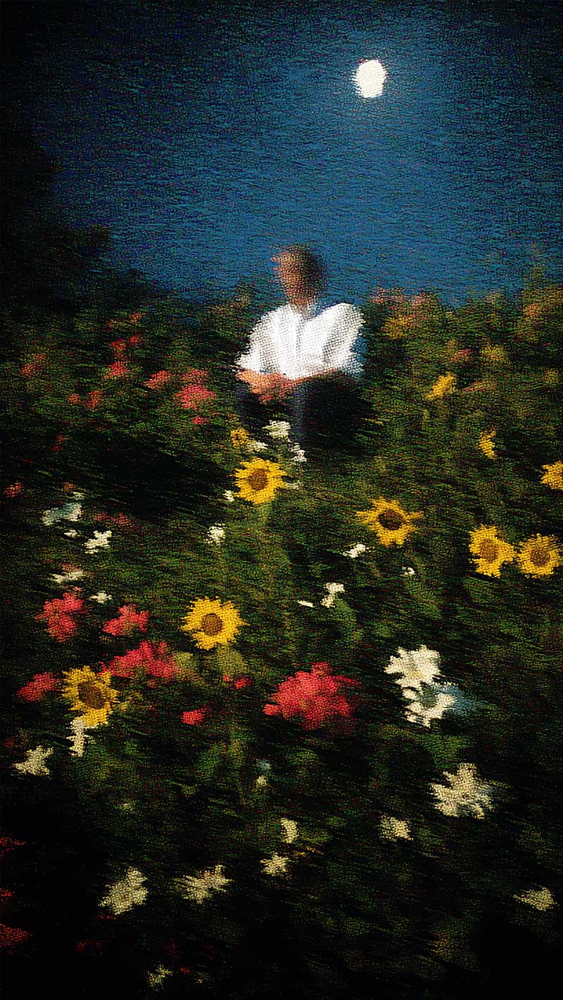 Aesthetic Moonlight Flower Field