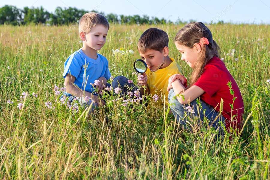 STEM education raises curiosity